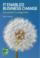 IT-Enabled Business Change: Successful Management