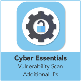 Cyber Essentials Plus Vulnerability Scan Additional IPs