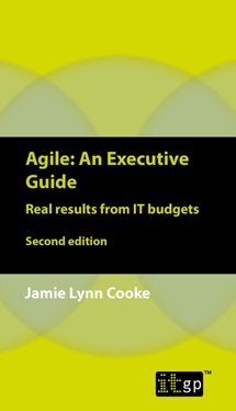 Agile: An Executive Guide