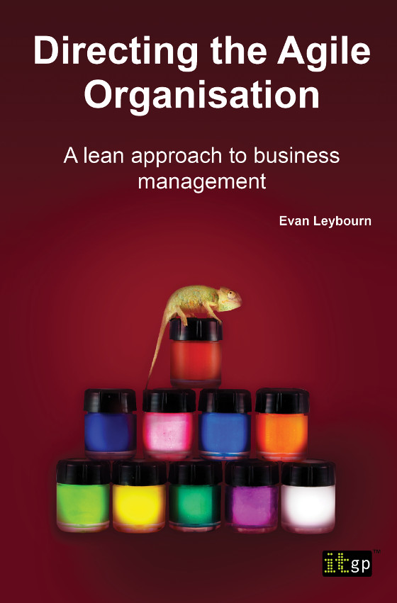 Directing the Agile Organisation: A lean approach to business management