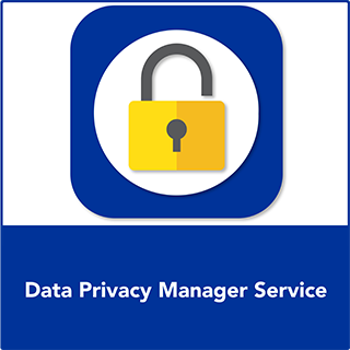 Data Privacy Manager Service | IT Governance USA